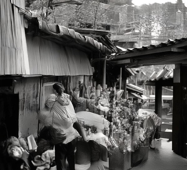 深化合作共赢未来，旅行社与酒店入驻合作方案详解